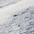 高齢者が登山中に遭遇しやすいトラブル事例とその対処法