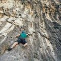 登山事故の事例に学ぶ、記録と情報共有の重要性