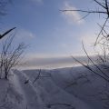 登山中にクマと遭遇しないための事前準備方法