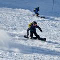 子どもの好奇心を引き出す山遊び・自然観察アイディア集