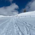 家族や友人との連絡を絶やさないための安全な登山計画とGPSシェア術