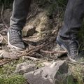 里山から奥山までクマの生息域と出没傾向の変化
