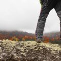 四季折々の日本の山を歩くことで得られる身体的効果