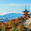 古都京都の周辺・名山トレッキングコース完全ガイド