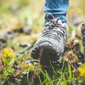 濡れない登山のために｜防水登山靴の選び方とメンテナンスの秘訣
