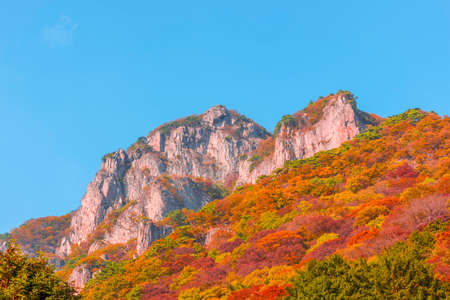 関西の低山ハイクで知る日本古来の山岳信仰と神社仏閣巡り