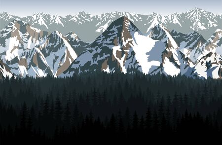 積雪期のストック選びポイント