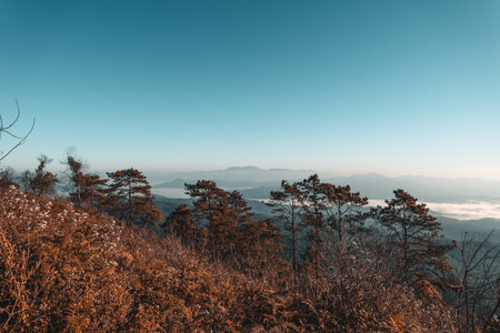 開聞岳の錦江湾を望む絶景登山:霧島屋久国立公園の自然体験記