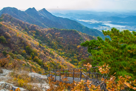 四国から望む!瀬戸内海と関西の山々の絶景登山ルート
