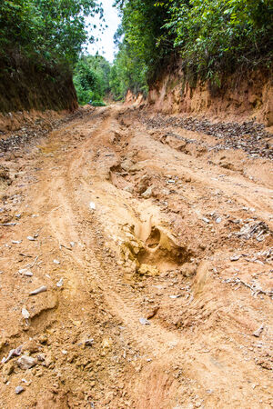 台風・豪雨による土砂災害リスクと登山道周辺地形の観察ポイント