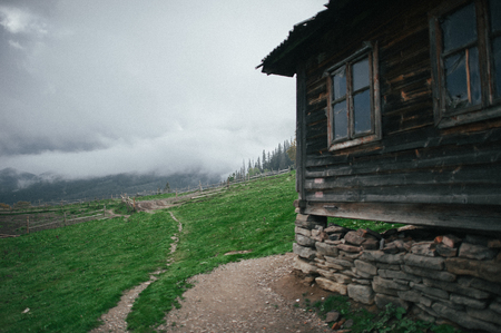 山小屋で味わう山野草料理:食材とレシピ、伝統の知恵