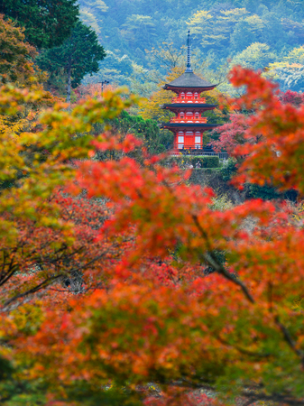 絶対に訪れたい!日本百名山の秋限定紅葉ランキング