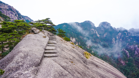日本百名山制覇プロジェクトの記録共有とコミュニティ形成