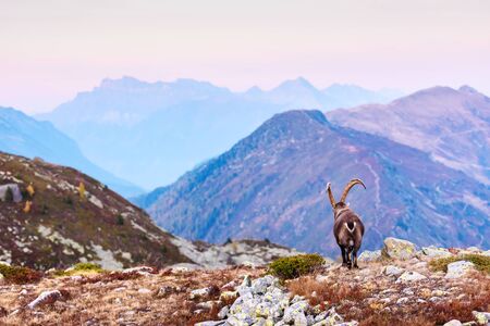 SNS発信による新しい山岳コミュニティの形成と実体験