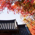 関西エリアで人気の秋の紅葉ハイキングコース