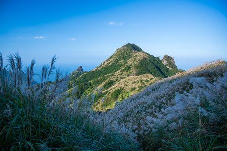 忘れられない体験を！ローカル線で行く穴場低山ハイキング＆観光ルート