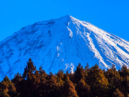 日本の低山と高山：季節ごとの楽しみ方と難易度比較